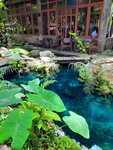 DSCN05048