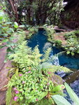 DSCN05055