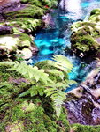 DSCN05058