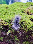 DSCN05059
