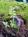 DSCN05060