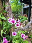 DSCN05081