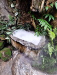 DSCN05087