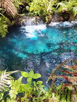 DSCN05098