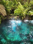 DSCN05099