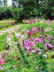 DSCN05117