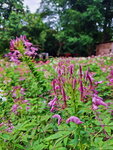 DSCN05118