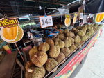 DSCN05171
