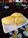 DSCN05173