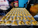 DSCN05177