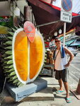 DSCN05180