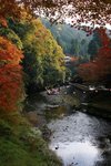 IMG_1131