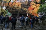 IMG_1144