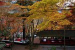 IMG_1153