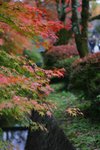 IMG_1333