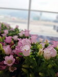 DSCN04615