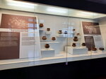 DSCN04737