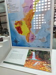 DSCN04745