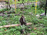 DSCN04885