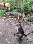 DSCN04887