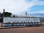 DSCN04907