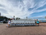 DSCN04910