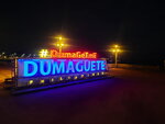 DSCN04932
