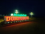 DSCN04933