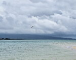 DSCN05020