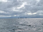 DSCN05037