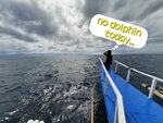 DSCN05048