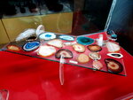 DSCN05078