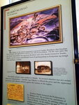 DSCN05086