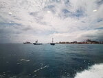 DSCN05156