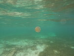 DSCN05220