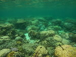 DSCN05224