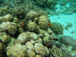 DSCN05227