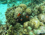 DSCN05229