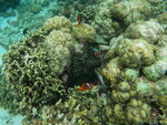 DSCN05230