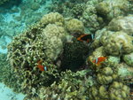 DSCN05231