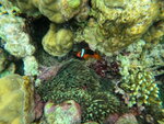DSCN05232
