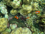 DSCN05233