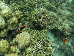 DSCN05234