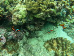 DSCN05235