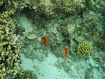 DSCN05236