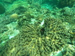 DSCN05239