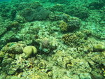 DSCN05241