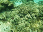 DSCN05245