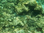 DSCN05246