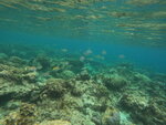 DSCN05247